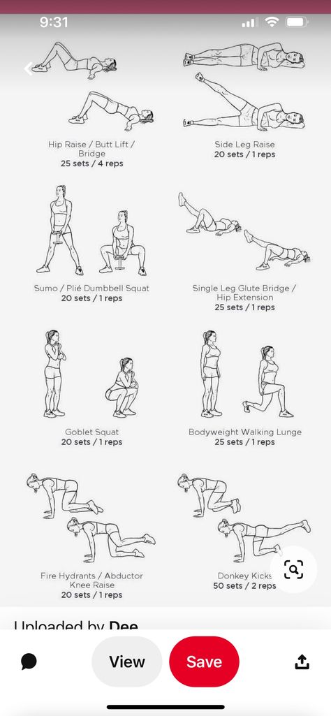 Donkey Kicks Workout, Hip Thrust Workout, Single Leg Glute Bridge, Dumbbell Squat, Dumbell Workout, Goblet Squat, Donkey Kicks, Glute Bridge, Hip Thrust