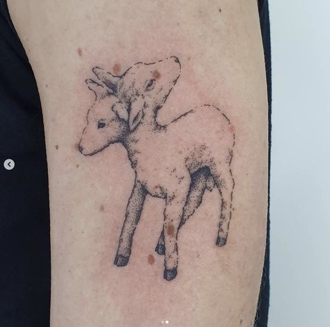 Two Headed Lamb Tattoo, Fawn Tattoo, Awful Tattoos, Lamb Tattoo, Underground Tattoo, Sheep Tattoo, J Tattoo, Funky Tattoos, Deer Tattoo