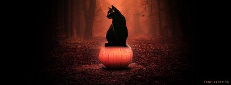 Black Cat Pumpkin Images for Facebook Cover - Halloween Black Cat on Pumpkin - Oct Event Day 18 Halloween Cover Photo Facebook, Cover Photos Facebook Unique, Fb Cover Photos Unique, Fall Facebook Cover Photos, Halloween Cover Photos, Fall Facebook Cover, Halloween Facebook Cover, Beautiful Facebook Cover Photos, Pumpkin Images