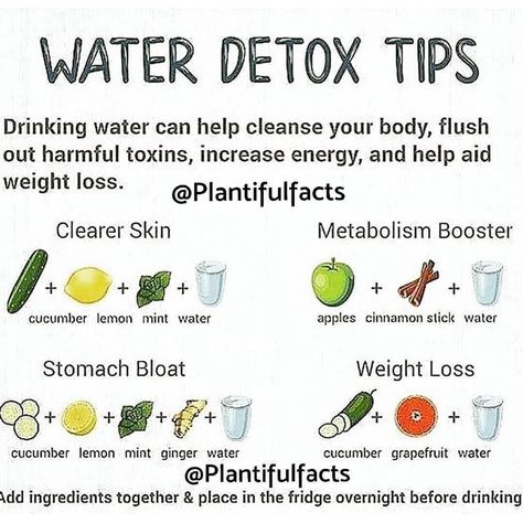 M C G I L L  M E D I A on Instagram: “Are you looking to do a detox this weekend? . . . Thank you @plantifulfacts for the insightful infographic! So helpful! 🍋🙏 Jenni & Bryant…” Lemon Mint Water, Grapefruit Water, Bad Carbohydrates, Cleaning Your Colon, Mint Water, Ginger Water, Bloated Stomach, Detox Tips, Metabolism Booster