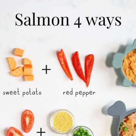 Annabel Karmel on Instagram: "4️⃣ WAYS WITH SALMON 🐟⁠ ⁠ Did you know that in your baby’s first 2 years, their brain develops at a faster rate than at any other time in their life? Mind blowing, isn’t it?!⁠ ⁠ And when it comes to brain development, those omega 3 fatty acids are super important. Giving them oily fish, like salmon, is a great way to pack in this critical nutrient. Include oily fish in your baby’s diet twice a week.⁠ ⁠ You can mix it up and use tinned salmon too! Tinned salmon is also a good source of calcium (because of the bones). Just ensure they are completely grounded / blended for your baby.⁠ ⁠ Find all these brand-new salmon recipe on my Baby & Toddler Recipe App 📲👶🏾⁠ ⁠ 1️⃣ Salmon, Sweet Potato & Red Pepper Puree ⁠ ⁠ 2️⃣ Salmon, Tomato & Pea Orzo ⁠ ⁠ 3️⃣ Salmon, Squ Salmon Puree For Baby, Salmon Baby Food Recipes, Pea Orzo, Salmon Squash, Salmon For Baby, Red Pepper Puree, Salmon Tomato, Pepper Puree, 7 Months Baby Food