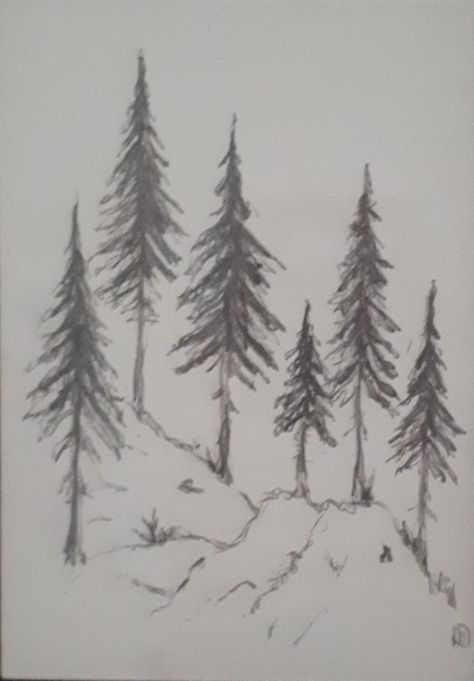 Tree Base Drawing, How To Draw Forest Trees, Basic Tree Drawing, How To Draw Winter Trees, Snowy Tree Drawing, Winter Sketches Simple, Simple Forest Drawing, How To Draw Trees, Tree Drawing Simple