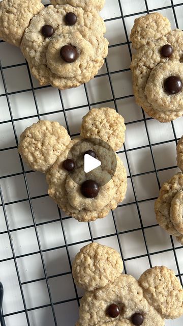 Take Them A Meal® - #takethemameal on Instagram: "Oatmeal Bear Cookies🧸🍪✨

You can never go wrong with including cookies with a meal! I recently made these Oatmeal Bear Cookies; they were delicious, and the recipient loved them! I made sure to make extra for my family. They are just so cute! 🧸✨

The recipe is linked on our Instagram story, or comment ‘Cookies,’ and I’ll send you the recipe!😋

#cookies #cookierecipe #bearcookies #takethemameal #baking #bakingcookies #fallbaking #fallideas #teddybear #teddybearcookies #cookies" Bear Cookies Recipe, Homemade Bear Paws Cookies, Baked Bear Cookie Recipes, Bear Cookies Aesthetic, Teddy Bear Blanket Cookie, Teddy Bear Cookies, Bear Cookies, Top Recipes, Fall Baking