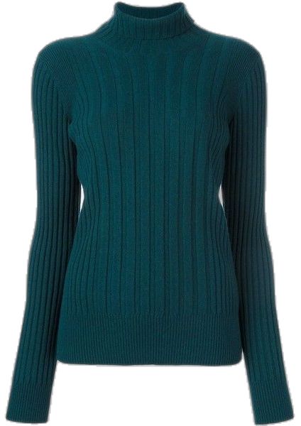 Ribbed Turtleneck Top, Blue Cashmere Sweater, Green Turtleneck Sweater, Green Turtleneck, Turtle Neck Sweater, Turtleneck Top, Ribbed Turtleneck, Cashmere Turtleneck, Long Sleeve Turtleneck