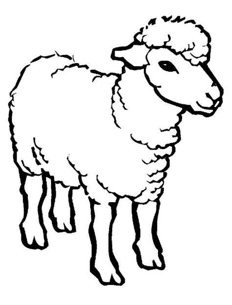 Healthy Lamb Coloring Page : Coloring Sky Lamb Coloring Page, Moana Coloring Sheets, Dinosaur Coloring Sheets, Moana Coloring, Christmas Color By Number, Batman Coloring Pages, Barbie Coloring Pages, Spring Coloring Pages, Animal Protein