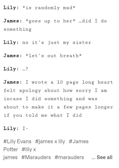 Jily Fanfiction, Mauraders Headcannons, Marauders Quotes, Harry Potter Texts, Harry Potter Cartoon, Funny Harry Potter Jokes, Harry Potter Illustrations, Harry Potter Feels, Harry Potter Puns