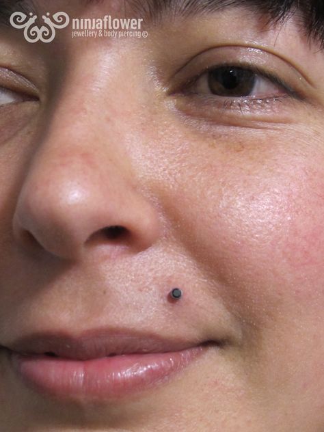 Beauty mark piercing  #beautymark #beautymarkpiercing #piercings #bodypiercing #bodyjewelry #implantgrade #legitbodyjewelry #ninjaflower #sparkly #pretty Beauty Mark Piercing, Love Piercings, Monroe Piercing, Monroe Piercings, Lip Piercings, Beauty Marks, Beauty Mark, New Accessories, Lip Piercing