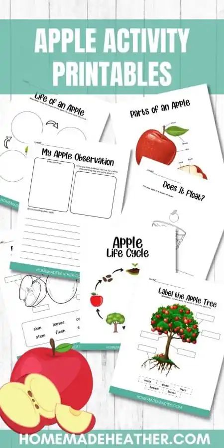 Free Apple Activity Printables Apple Unit Study, Apple Life Cycle, Activity Printables, Unit Studies Homeschool, Apple Unit, Apple Activities, Homeschool Life, Boredom Busters, Fun Worksheets