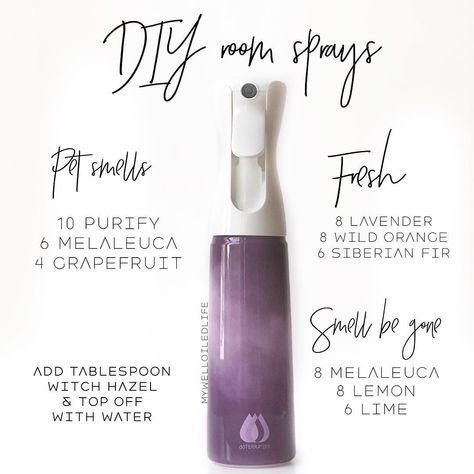 I finally utilized the mister bottles I got in my last dōTERRA order! When you need to get out some unpleasant odors in your home (ahem… Basil Essential Oil, Doterra Essential Oils Recipes, Essential Oil Remedy, Essential Oil Spray, Essential Oils Cleaning, Oil Remedies, Room Sprays, Essential Oil Diffuser Blends, Doterra Oils