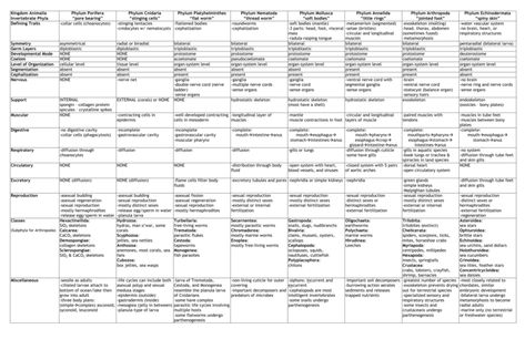 Invertebrate Phylum Chart Medical Notes, Chart Paper, Simple Complex, Writing Websites, Cnidaria, Animal Classification, Best Essay Writing Service, Gandhi Quotes, School Essay