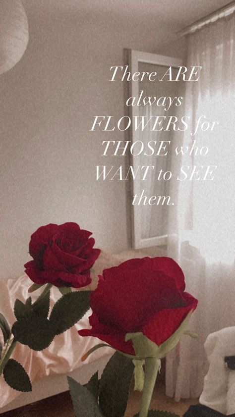 It is the French way of saying, “I’m looking at the world trough rose-colored glasses. ” #rose #quotes #rosesaesthetic #aesthetic #roominspiration #roomdecoration #weheartit Rose Day Aesthetic Quotes, Rose Captions Short, Roses Aesthetic Quotes, Red Roses Quotes Beauty, Roses Quotes Instagram, Roses Quotes Aesthetic, Rose Quotes Poetry, Quotes About Roses, Red Roses Quotes