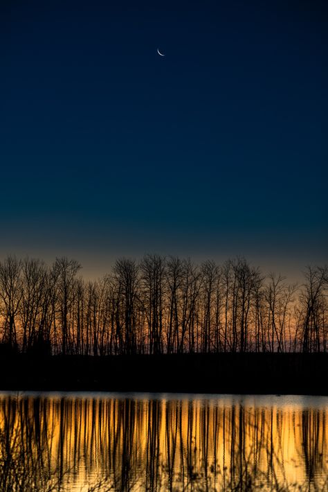 Land Of The Living, O Canada, Evening Sky, Big Things, Star Sky, A Whole New World, Small Things, Amazing Nature, Travel Around The World