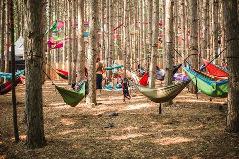 Music Festival Decorations, Festival Couple, Festival Branding, Forest Festival, Electric Forest Festival, Decorations Flowers, Forest Party, Festival Inspo, Electric Forest