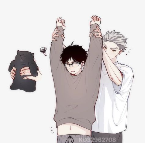 Miya Twins X Yn, Bokuaka Cute, Bokuto Fanart, Haikyuu Au, Kuroo X Kenma, Haikyuu Bokuto, Kagehina Cute, Bokuto Koutarou, Akaashi Keiji