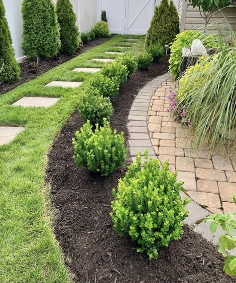 ProvenWinnersDirect on Instagram: “Make your hedge dreams come true with our Sprinter boxwoods, like @goodpathgarden did. 😍 And, even better, they're on sale now! ⠀ Click the…” Sprinter Boxwood, Victorian Front Garden, Boxwood Landscaping, Front Flower Beds, Boxwood Garden, Fall Planting, Front Garden Landscape, Garden Decor Ideas, Front Landscaping