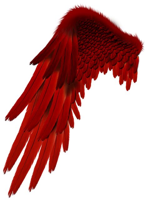 #wing #asa #devil #diabo @lucianoballack #freetoedit Devil Wings Drawing, Devil Wings, Red Angel Wings, Castiel Aesthetic, Angel Wings Png, Wings Png, Mythical Birds, Angel Feathers, Wings Drawing