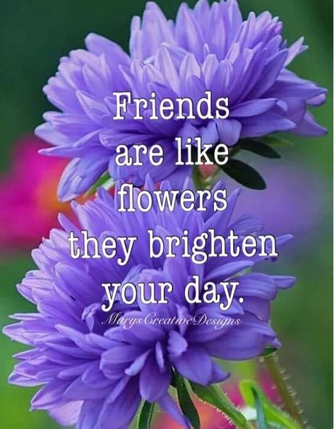 Feeling Positive Quotes, Happy Spring Day, Special Friendship Quotes, Posting Ideas, Special Friend Quotes, True Friends Quotes, Good Morning Funny Pictures, Sympathy Quotes, Happy Good Morning Quotes