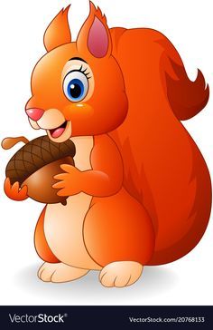 Squirrel Vector, Hamster Cartoon, Happy Squirrel, Funny Elephant, Squirrel Funny, Pumpkin Vector, Raccoon Funny, Cartoon Funny, Cute Squirrel