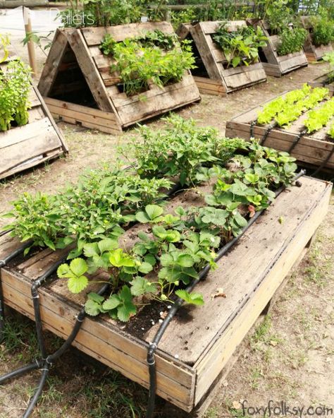 #Pallet, #Planter, #RaisedGardenBeds Look what FoxyFolksy found in our recent trip to Ca’Savio, Italy... A pallet garden, but this one is one of the most interesting we have ever seen! Organized, creative, with automatic watering system!  Who said you need a  garden or ground to Pallet Projects Garden, Vegetable Garden Raised Beds, Small Vegetable Gardens, Building A Raised Garden, Vegetable Garden For Beginners, Pallet Planter, Diy Raised Garden, Raised Garden Beds Diy, Garden Area