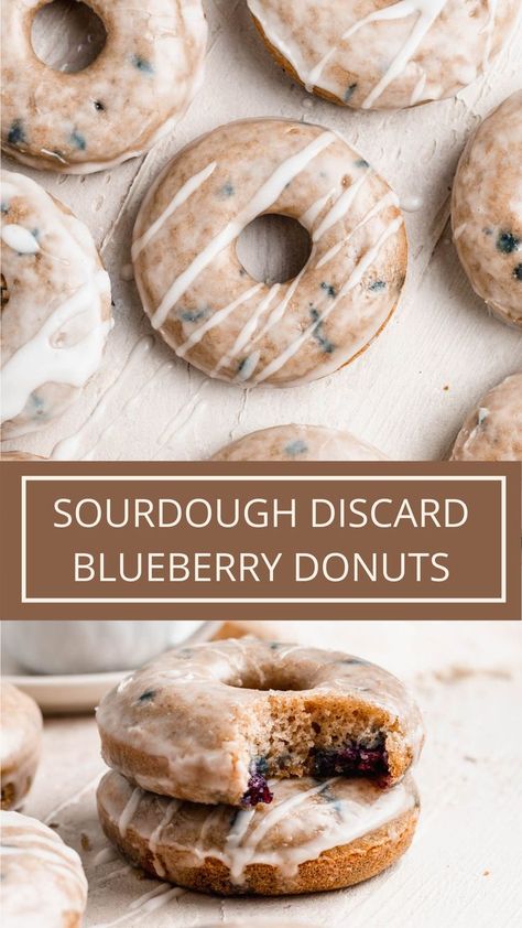 sourdough discard blueberry donuts Blueberry Recipes Sourdough, Discard Blueberry Bagels, Homemade Grab And Go Breakfast, Sourdough Donuts Farmhouse On Boone, Sourdough Doughnut Recipe Baked, Sourdough Discard Baked Donut Recipe, Discard Donuts Baked, Sourdough Discard Donuts Recipe, Sourdough Discard Breakfast Recipe