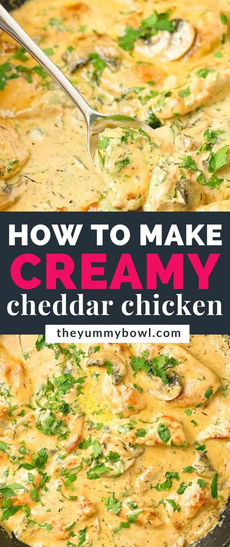 Creamy Chicken Cheddar Cheese Sauce - Chicken smothered in a rich and creamy cheddar sauce with parsley is a truly heartwarming, so cozy, and one perfect dinner meal. Very quick and easy dinner recipe idea to make from scratch which only takes you 30 minutes to make. Chicken And Cheese Sauce Recipes, Mild Cheddar Recipes, Cheddar Cheese Recipes Dinners, Cheddar Chicken Recipes, Chicken And Cheddar Cheese Recipes, Chicken Rice And Gravy, Cheese Sauce For Chicken, Chicken With Cheese Sauce, Easy Chicken Tenderloin Recipes