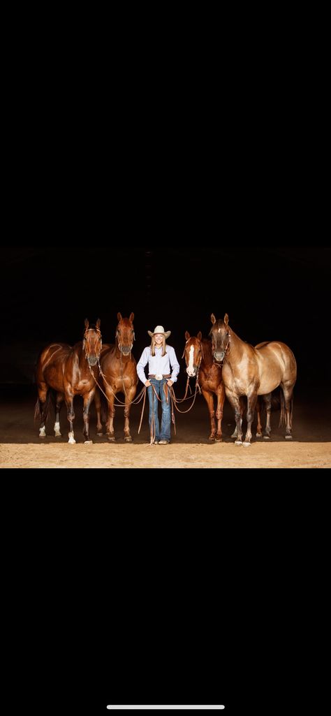 Roping Photoshoot, Cowgirl Photo Shoot Ideas, Senior Pic Ideas With Horses, Western Photo Shoots With Horses, Barrel Racer Photoshoot, Pictures With Horses Ideas, Western Horse Photoshoot Ideas, Cowgirl Senior Pictures Horses, Barrel Racing Senior Pictures