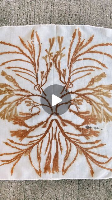 Nature Dye Fabric, Patterns In Nature Texture, Ecoprint Tutorial, Eco Printing Tutorial, Textile Dyeing, Shibori Print, Natural Textiles, Eco Printing, Natural Dye