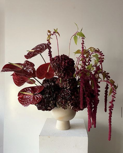 Anthurium Arrangement, Red Flower Arrangements, Moody Colors, Drip Drip, Boquette Flowers, Bouquet Design, Burgundy Flowers, Flower Therapy, Pretty Plants