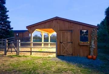 Horse Shelter Ideas Cheap, Small Horse Barn Ideas Layout, Shed Row Horse Barn, 3 Stall Horse Barn, Small Horse Barn Plans, Mini Horse Barn, Small Barn Ideas, Simple Horse Barns, Small Barn Plans