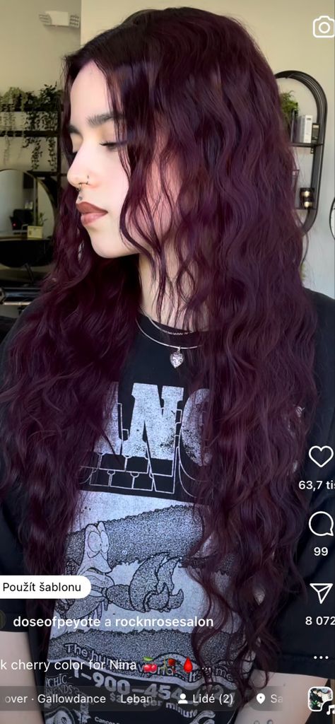 Purple Tinted Hair Brown, Purple Auburn Hair, Purple Hair Tan Skin, Purplish Brown Hair, Dark Purple Curly Hair, Chocolate Lavender Hair, Warm Purple Hair, Cherry Purple Hair, Burgundy Purple Hair