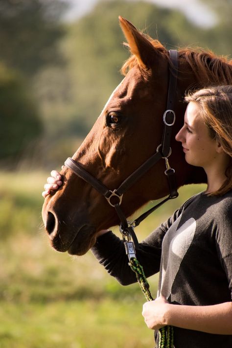 Bonding Exercises for Horse Owners | Horse&Rider Trail Riding Horses, Horse Rearing, Western Horses, Equestrian Helmets, Heath Care, Horse Info, Horse Camp, Semi Realism, Equestrian Helmet