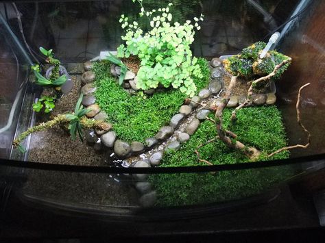 River Rock Wall, Dart Frog Vivarium, Lizard Habitat, Turtle Terrarium, Snake Terrarium, Frog Terrarium, Turtle Stuff, Turtle Aquarium, Frog Tank