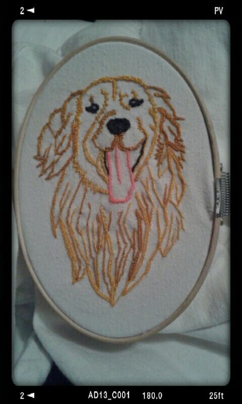 Golden Retriever Embroidery Design, Golden Retriever Embroidery, Embroidery Journal, Initial Embroidery, Embroidery Dog, Diy Bead Embroidery, Class 8, Felt Embroidery, Pumpkin Colors