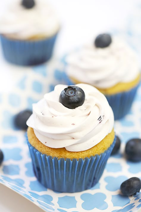 Blueberry Cupcakes, Oreo Cupcakes, Easy Blueberry, Cupcake Flavors, Summer Dishes, Blueberry Recipes, Baking Cupcakes, Yummy Cupcakes, Dessert Cupcakes