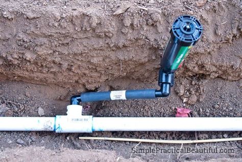 Sprinkler System Design, In Ground Sprinkler System, Sprinkler System Diy, Sprinkler System Installation, Irrigation System Diy, Irrigation Diy, Sprinkler Valve, Lawn Sprinkler System, Irrigation Valve