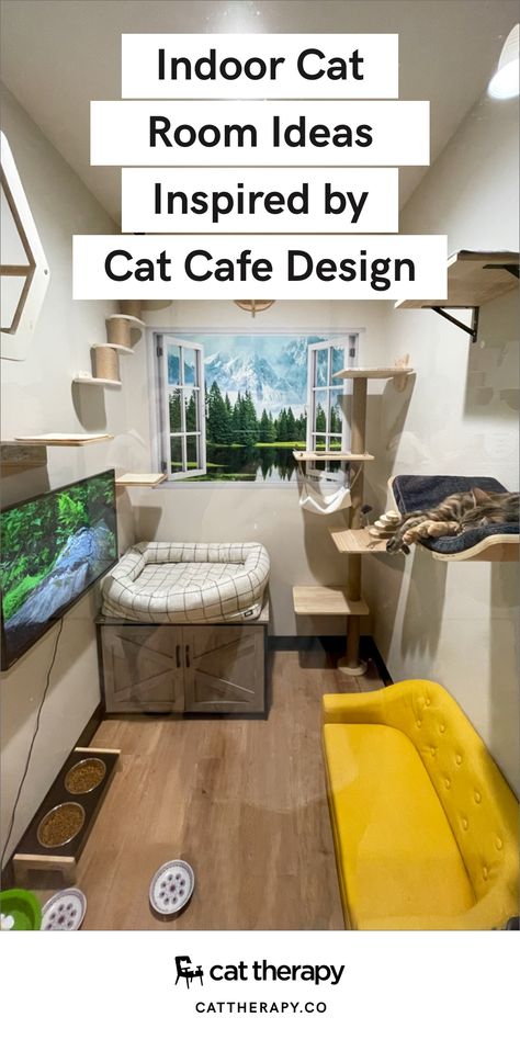 Cat Bedrooms For Cats, Cat Room Apartments, Cat Room In Basement, Cat Zone In House, Cat Walks In House Living Rooms, Room For Cats Spaces, Animal Friendly Living Room, Home Office Cat Friendly, Cat Utility Room