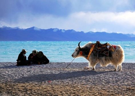 Unique Scenery, Mount Everest Base Camp, Lhasa Tibet, Chinese Travel, Tibetan Monk, The Holy Mountain, Rainbow Photography, Nepal Travel, Lhasa