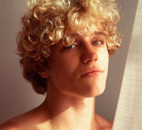 Owen Lindberg, Blonde Curly Hair, Sweet Romance, Hair Reference, 인물 사진, Curly Blonde, Book Journal, Vampire Diaries, Madonna