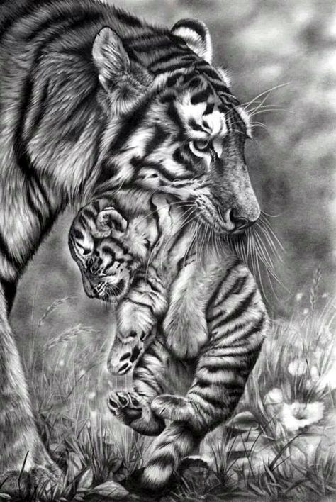 Pencil Drawing Inspiration, Tiger Sketch, Drawing Heart, Pencil Drawings Of Animals, Drawing Simple, Charcoal Art, Sketches Tutorial, Portrait Sketches, Charcoal Drawing