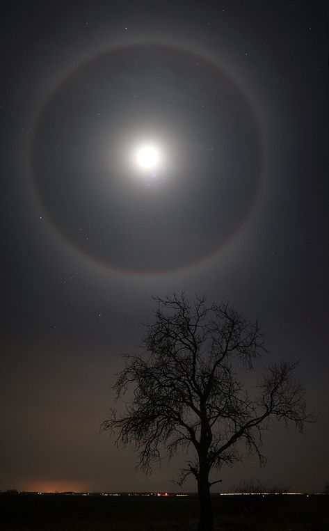 Ring Around The Moon, Moon In The Sky, Astronomy Pictures, Shoot The Moon, Moon Pictures, Dark Sky, Sun Moon Stars, Beautiful Moon, To Infinity And Beyond