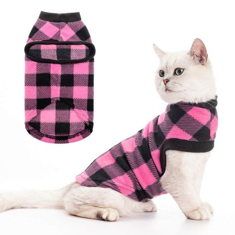 Outfits For Cats, Fat Cats Funny, Vest Clothes, Soft Vest, Cat Sweater, Cat Fashion, Cat Dresses, Cat Sweatshirt, Cat Accessories