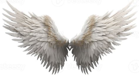 Realistic Style Angel's Wings No Background Perfect for Photograph Backdrop Ai Generated Angel Wings Realistic, Angel Wings Png, Wings Png, No Background, Reference Poses, Anime Angel, Shadowhunters, Art Reference Poses, Angel Wings