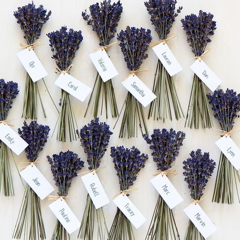 Dried lavender sprigs for wedding favours/ place settings/ table decorations and a gorgeous aroma all-in- one! 💜 These went out to a lovely… Dried Lavender Wedding, Wedding Sicily, Lavender Wedding Favors, Lavender Favors, Lavender Sprigs, Coffee Wedding Favors, Honey Wedding Favors, Wedding Favor Table, Creative Wedding Favors