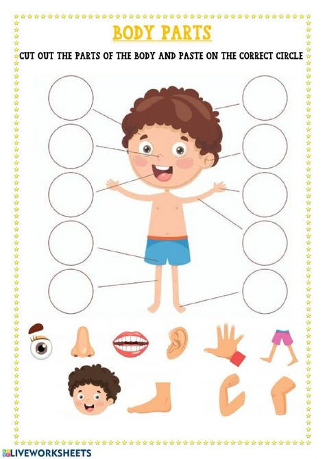 Parts of the body exercise pdf. You can do the exercises online or download the worksheet as pdf. Body Parts Worksheet Kindergarten, Part Of Body Worksheet, Parts Of The Body Worksheet, Preschool Body Theme, Body Parts Worksheet, Labeling Kindergarten, Body Parts Preschool Activities, Body Parts For Kids, Human Body Worksheets