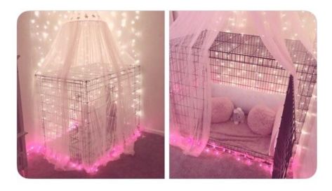 Puppy Room Decor, Dog Bedroom Decor, Pet Room Decor, Guest Posting Sites, Dog Bedroom, Puppy Decor, Apartment Pet, Puppy Room, Bunny Room