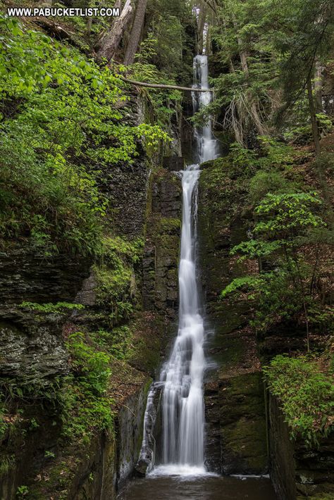 How to find Silverthread Falls in the Pocono Mountains of Pennsylvania. Pennsylvania Waterfalls, Ohiopyle State Park, Gorges State Park, Delaware Water Gap, Pike County, The Poconos, Pennsylvania Travel, Usa Roadtrip, Waterfall Trail