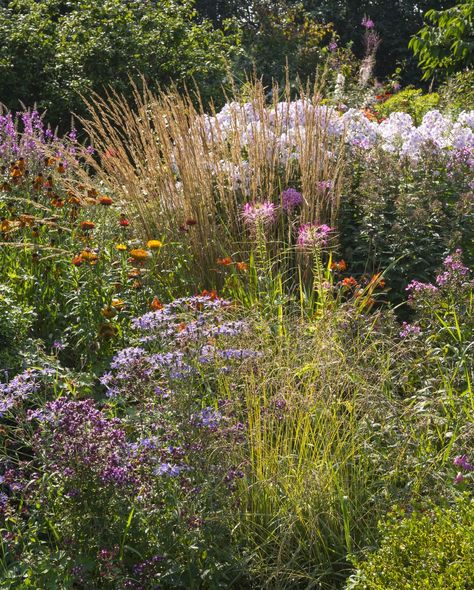 Wildflower Cottage Garden, Wild Cottage Garden, Cottage Garden Photography, Cottage Garden Wild Flowers, Wildflower Lawn Border, Cottage Pollinator Garden, Cottage Garden Plan, Cottage Garden Ideas, Stone Bird Baths