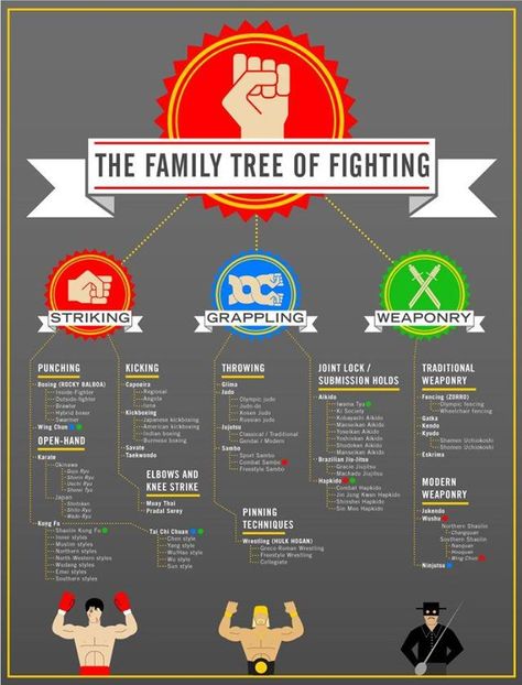 family tree of fighting Martial Arts Quotes, Trening Sztuk Walki, Self Defense Martial Arts, Martial Arts Techniques, Pencak Silat, Martial Arts Styles, Ju Jitsu, Trening Fitness, Martial Arts Workout