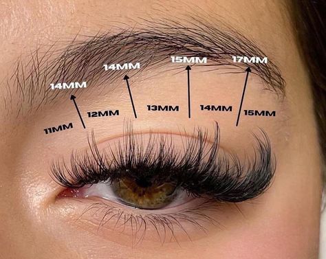 Cat Eye Lash Extensions Volume, Wispy Lash Map, Lashes At Home, Lash Map, Wispy Eyelashes, Lash Extension Kit, Morning Beauty Routine, Cat Eye Lash, Volume Lash Extensions