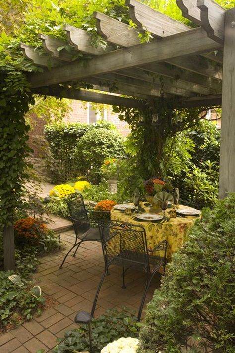 October Garden Tour - Cincinnati Magazine Easy Pergola, Garden Pergolas, Patio Trellis, Gardening Drawing, Patio Gardening, Wallpaper Garden, Tattoo Garden, Garden Nails, Garden Pergola